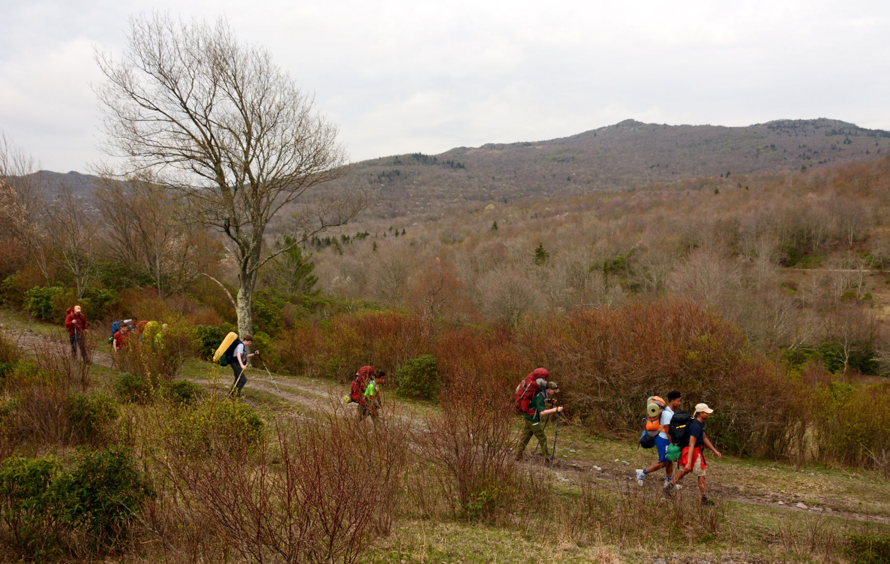 Mount Rogers National Recreation Area